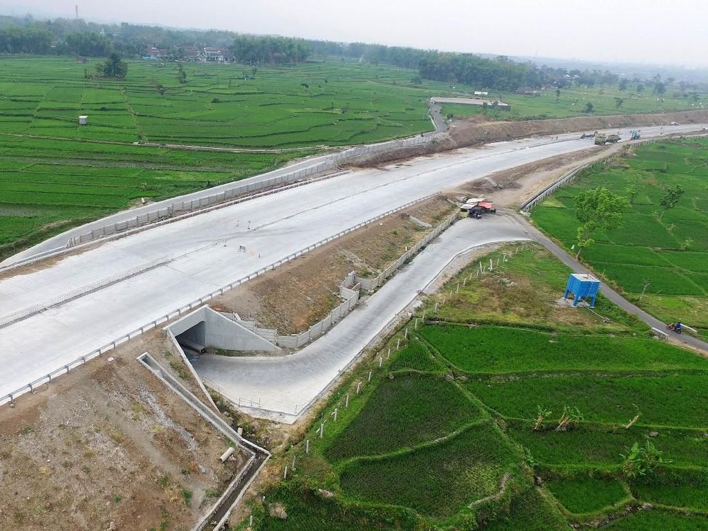 Jokowi Siapkan Aturan agar Lahan Sawah Tak Makin Susut Jokowi Siapkan Aturan agar Lahan Sawah Tak Makin Susut