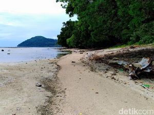 Datang ke Festival Skouw Jangan Lupa Mampir ke Kampung Laut Enggros