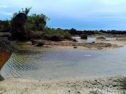 Ada Potensi Wisata di Patok Negara Tepi Samudera Pasifik