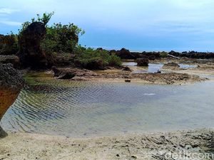 Ada Potensi Wisata di Patok Negara Tepi Samudera Pasifik Ada Potensi Wisata di Patok Negara Tepi Samudera Pasifik