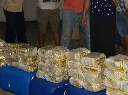 BNN Tangkap 7 Anggota Sindakat Sabu di Medan