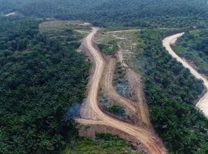 Ada 5 Terowongan Khusus Gajah di Tol Pekanbaru-Dumai