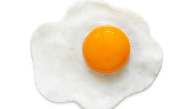 Ilustrasi telur