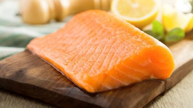 Ilustrasi salmon