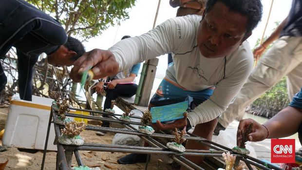 Berlari Melintasi Bentang Alam Bali Barat