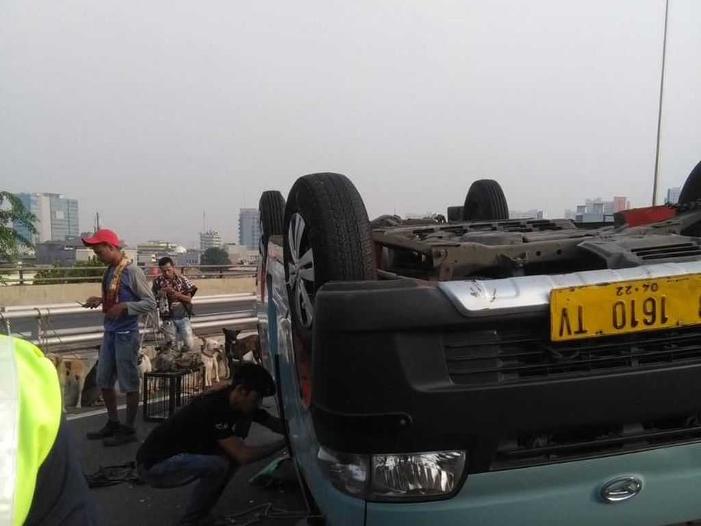 Ban Bocor, Penyebab Angkot Bawa Anjing Terguling di Tol Rawamangun Ban Bocor, Penyebab Angkot Bawa Anjing Terguling di Tol Rawamangun