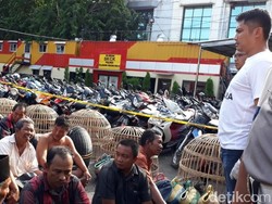 Puluhan Penjudi Diciduk Saat Asyik Judi Ayam