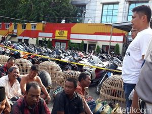 Puluhan Penjudi Diciduk Saat Asyik Judi Ayam Puluhan Penjudi Diciduk Saat Asyik Judi Ayam