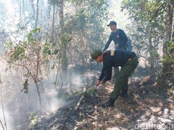 Terbakar Lagi, Petugas Gabungan Padamkan Hutan di Lereng Argopuro