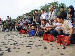 Mengeksplorasi Kekayaan Alam Geopark Ciletuh Palabuhanratu