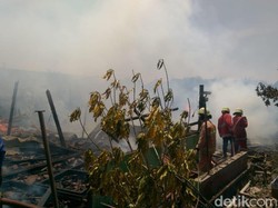 8 Rumah di Semarang Terbakar, 1 Sapi Mati Terpanggang