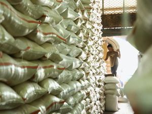 Kementan Sebut Suplai Beras Aman Sampai Akhir Tahun