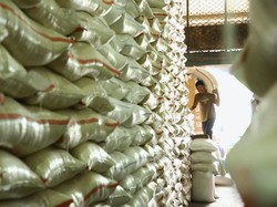 Kementan Sebut Suplai Beras Aman Sampai Akhir Tahun