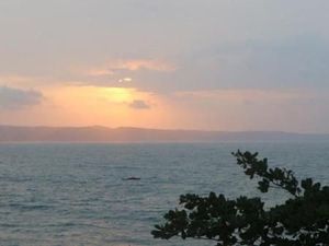 Sudah Tidak di Blacklist, ASITA Genjot Lagi Wisata Pangandaran