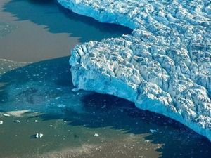 Terumbu Karang Terancam Jika Listrik dari Batubara Tak Berkurang