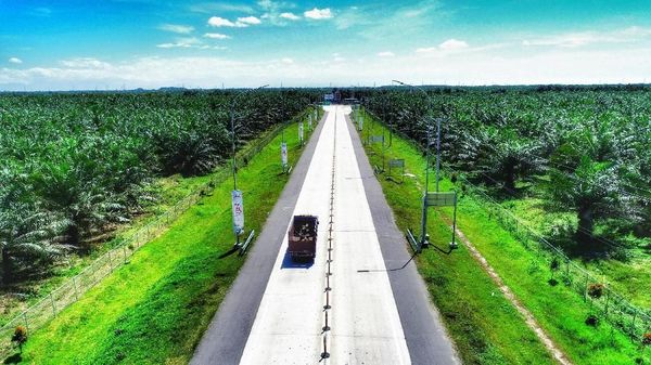 Penampakan Tol Medan-Binjai Tembus Belantara Hutan Sawit