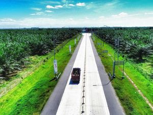 Penampakan Tol Medan-Binjai Tembus Belantara Hutan Sawit