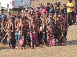 Festival Likurai NTT Sajikan Aksi 1.500 Penari dengan Drama Musikal