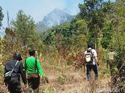 Kebakaran Lereng Argopuro Akhirnya Padam, 13 Hektar Hutan Terbakar