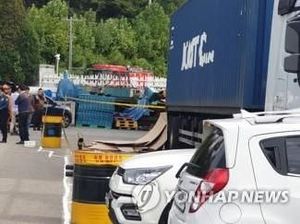 Ribuan Semut Api Merah Serang Sebuah Gedung di Seoul