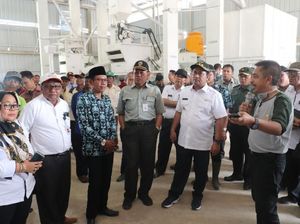 Jamin Stok Pangan, Kementan Serius Garap Lahan Rawa Pasang Surut