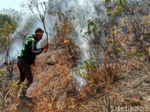 12 Hektare Hutan di Gunung Pundak Mojokerto Terbakar