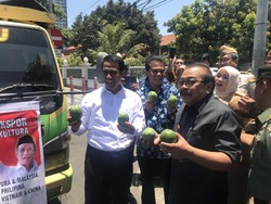Mentan Lepas Ekspor 51 Ton Produk Hortikultura ke Negara Asia