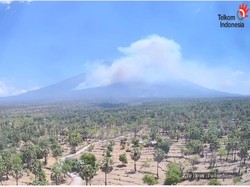 Hutan di Gunung Agung Juga Kebakaran