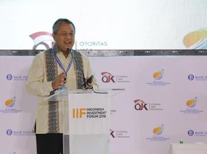 Aturan BI soal Parkir Devisa Hasil Sumber Daya Alam Rampung