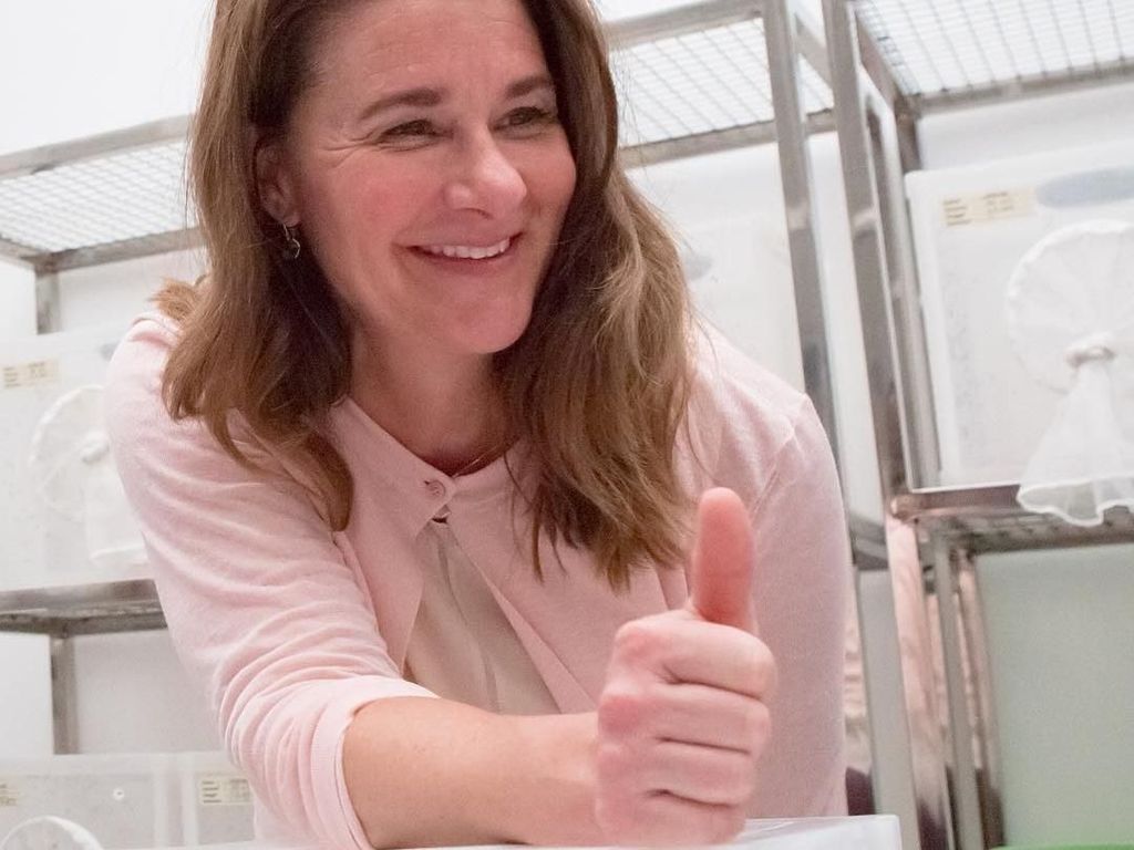 Melinda Gates Minggat dari Rumah, Sewa Pulau Rp 1,9 M Per Malam Melinda Gates Minggat dari Rumah, Sewa Pulau Rp 1,9 M Per Malam