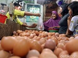 Punya Penyakit Jantung, Makan Telur Disarankan Cukup Sebutir Tiap Hari