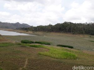 Debit Air Bendungan Sermo di Kulon Progo Hampir Siaga Kekeringan