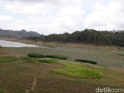 Debit Air Bendungan Sermo di Kulon Progo Hampir Siaga Kekeringan