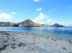 Pulau Kelor, Primadona dari Labuan Bajo