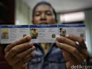 Ini Bentuk KTP Anjing yang Diterbitkan Pemprov DKI