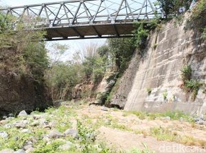 Mahasiswa UMK Meninggal Usai Pradiksar, Bupati Kudus Angkat Bicara Mahasiswa UMK Meninggal Usai Pradiksar, Bupati Kudus Angkat Bicara
