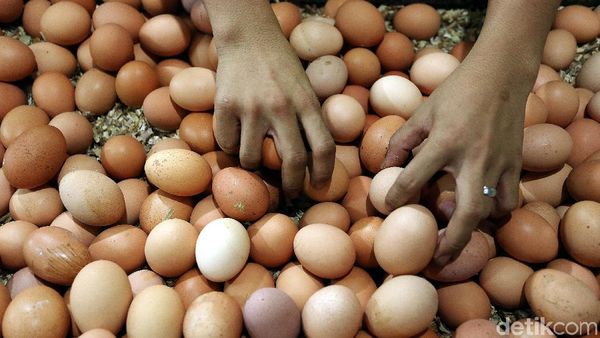 Harga Telur Ayam Naik