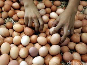 Telur Ayam hingga Bawang Merah Diramal Sumbang Inflasi Januari Telur Ayam hingga Bawang Merah Diramal Sumbang Inflasi Januari