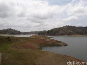 Spot Wisata Dadakan Seiring Surutnya Bendungan Sermo Kulon Progo