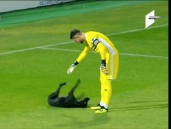 Gara-gara Anjing, Pemain Lupa Main Bola