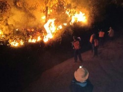 50 Hektar Lahan di Lereng Gunung Ijen Terbakar