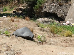 Kesaksian Menwa: Sebelum Meninggal, Kukuh Pingsan karena Kelelahan