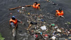 Petugas Berjibaku Bersihkan Sampah di Kanal Barat Penjaringan