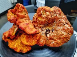 Unik! Jamur Ini Punya Bentuk, Warna dan Rasa Seperti Lobster