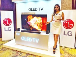LG Rilis TV OLED 4K dengan Harga Terjangkau, Berapa?