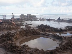 Gali Pasir di Hot Water Beach, Keluarlah Air Hangat