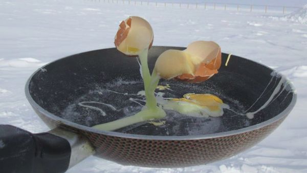 Brr... Peneliti Ini Viral karena Masak di Suhu Minus 80 Derajat