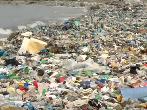 Jijik! Penampakan Sampah Menumpuk di Pantai