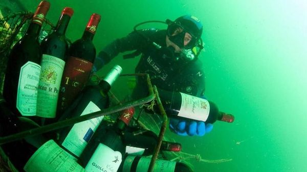 Foto Tradisi Menaruh Wine di Laut