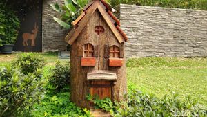 Menjajal Kemampuan Kamera Nokia 6.1 Plus